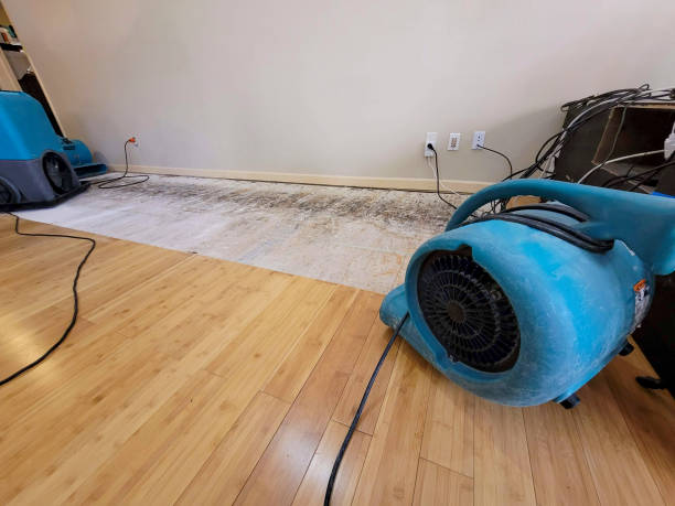 Professional Water Damage Repair technician working in Fort Jennings, OH
